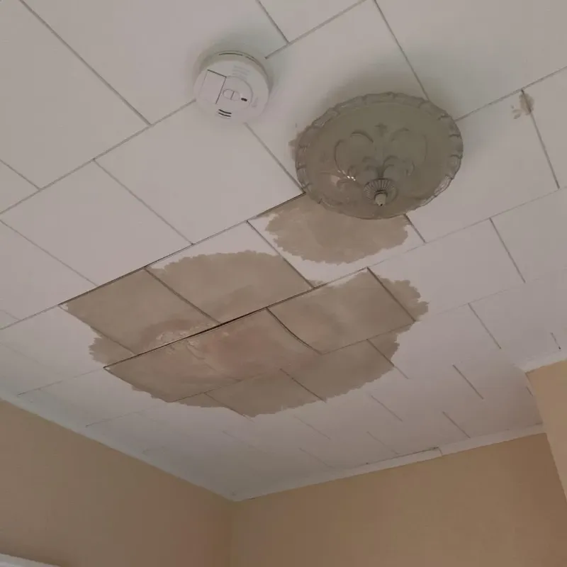 Ceiling Water Damage Repair in Prospect, CT