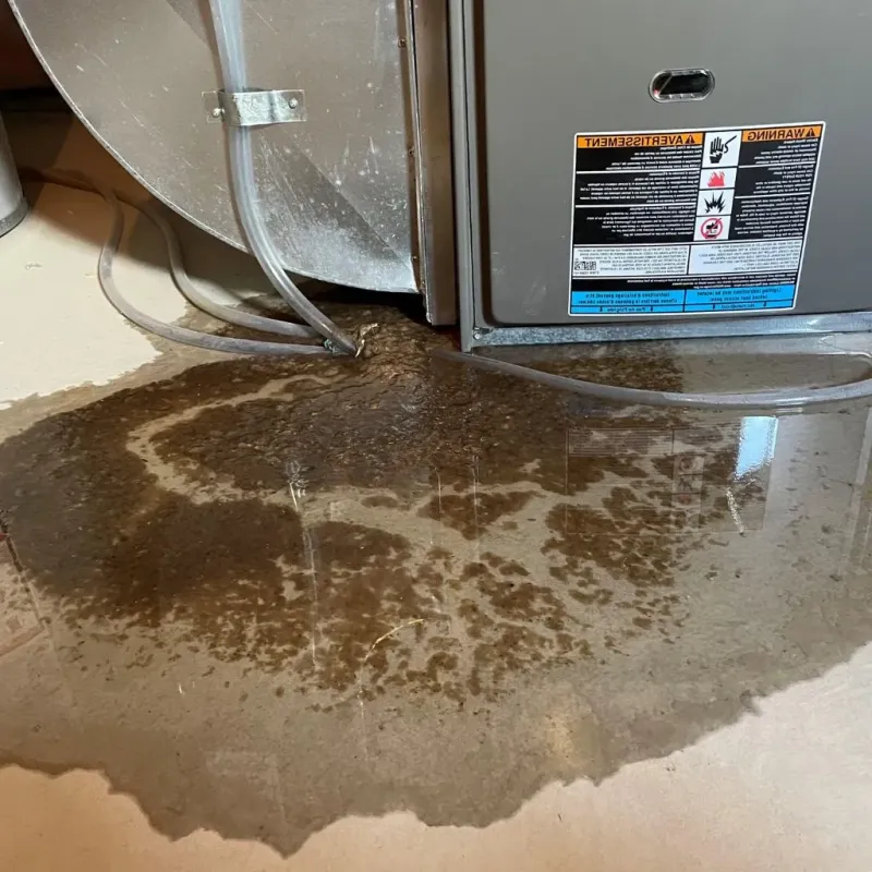 Pipe Burst and Leak Restoration in Prospect, CT