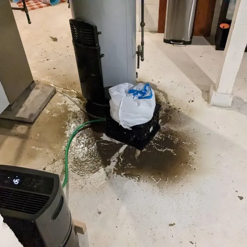 Sewage Backup Cleanup Service in Prospect, CT